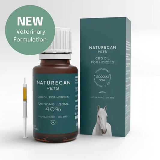 CBD Oil for Horses