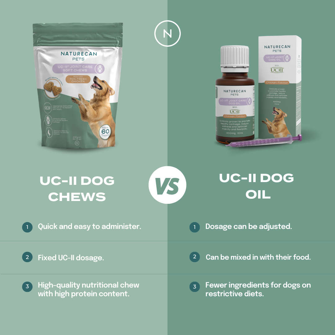 UC-II® Joint Care Oil for Dogs